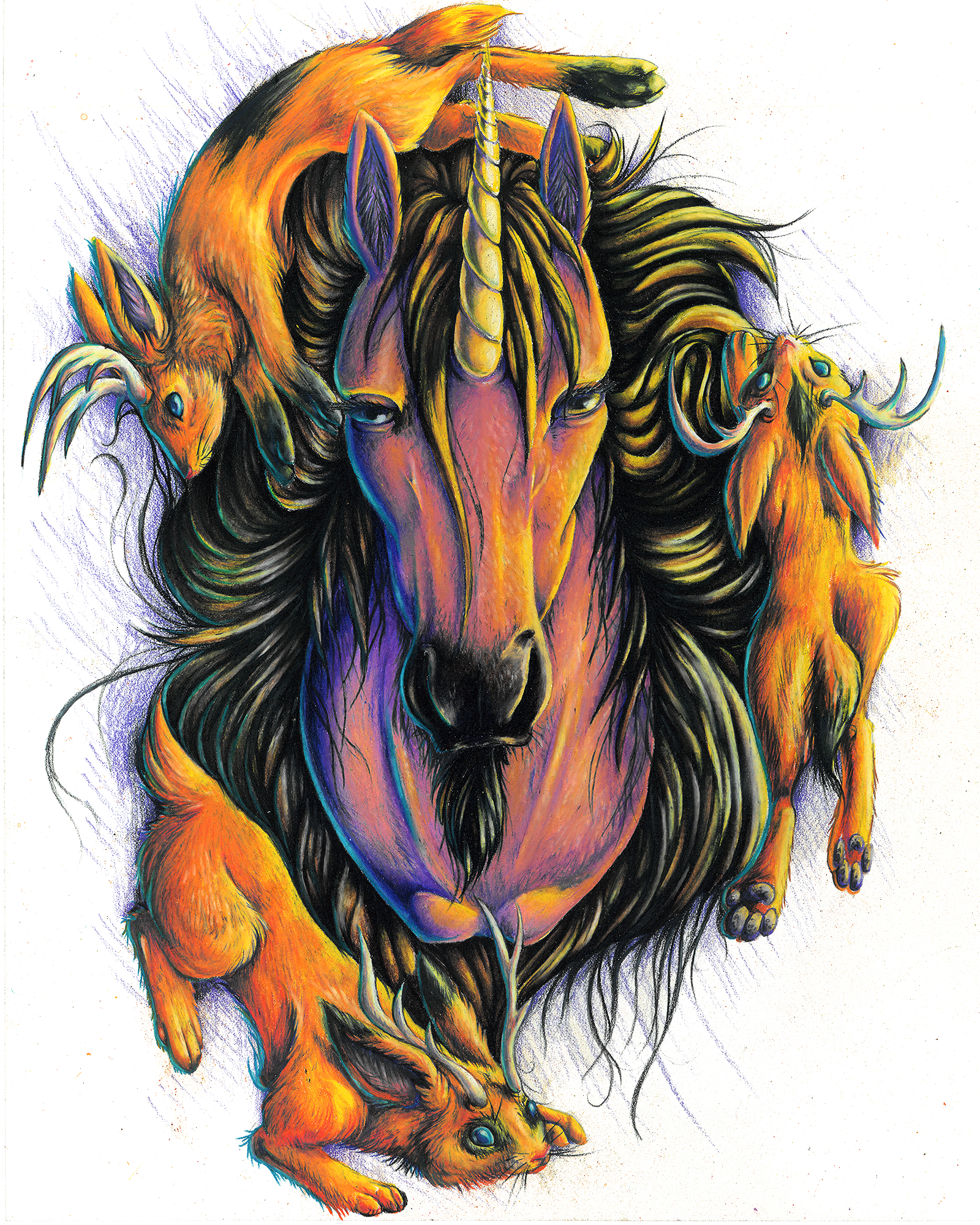 unicorns-and-jackalopes_Color-Pencils